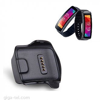 Samsung Galaxy Gear Fit / with cable