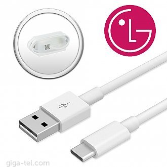 LG DC13WK-G / USB-C data cable