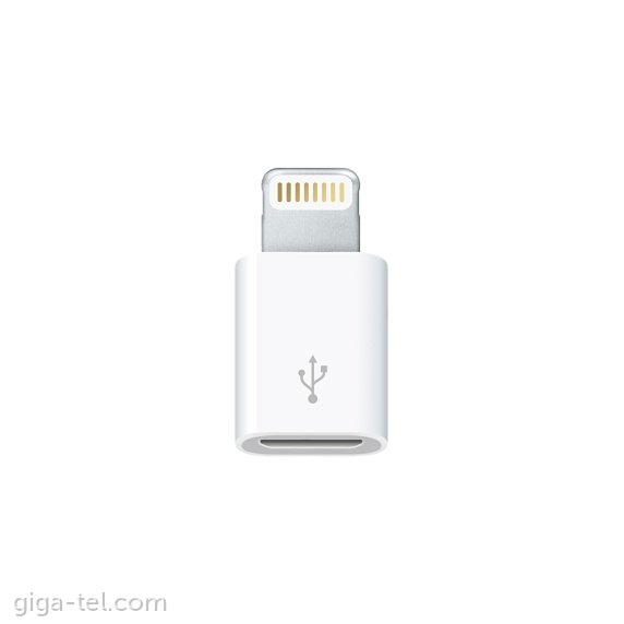 Apple MD820ZM/A adapter