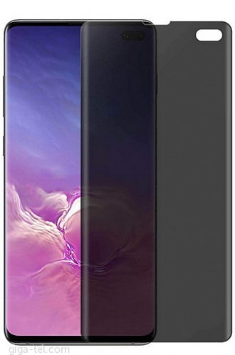 Samsung S10+ TPU privacy screen protector