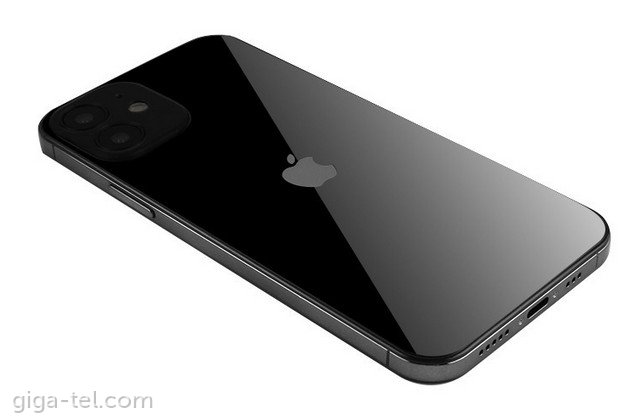 iPhone 12 mini dummy black
