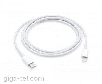 Apple Lightning / Type-C data cable 1m OEM / AAA+