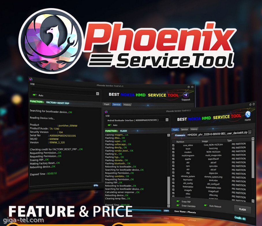 Phoenix Service Tool - 100 credits